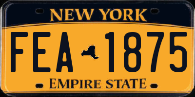 NY license plate FEA1875