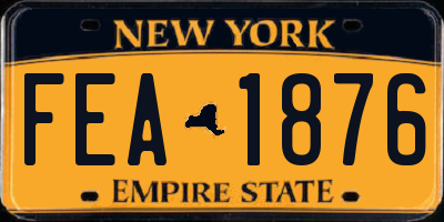 NY license plate FEA1876