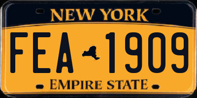 NY license plate FEA1909