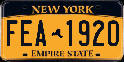NY license plate FEA1920