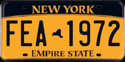 NY license plate FEA1972