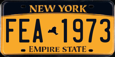 NY license plate FEA1973