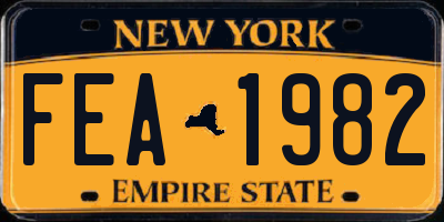 NY license plate FEA1982