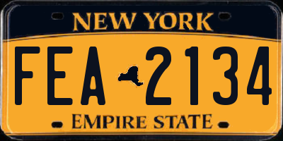 NY license plate FEA2134