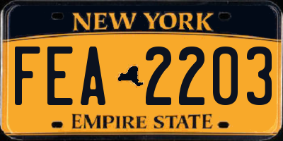 NY license plate FEA2203
