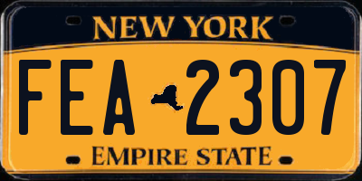 NY license plate FEA2307