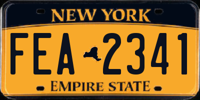 NY license plate FEA2341