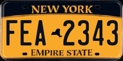 NY license plate FEA2343
