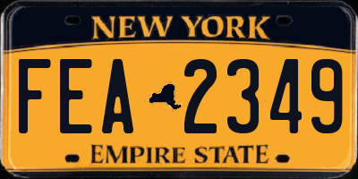 NY license plate FEA2349