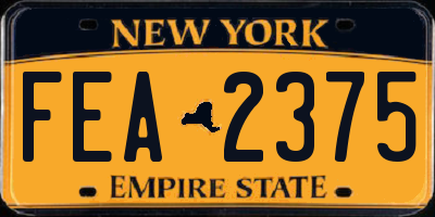 NY license plate FEA2375