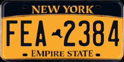 NY license plate FEA2384