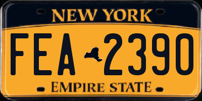 NY license plate FEA2390
