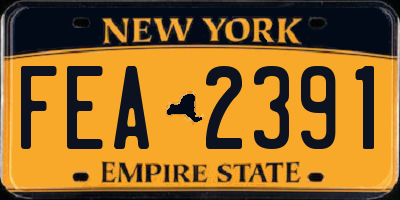 NY license plate FEA2391