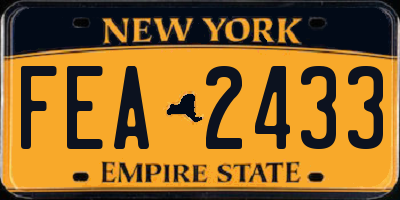 NY license plate FEA2433