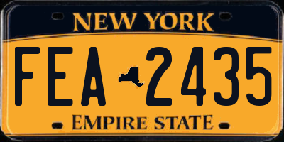 NY license plate FEA2435