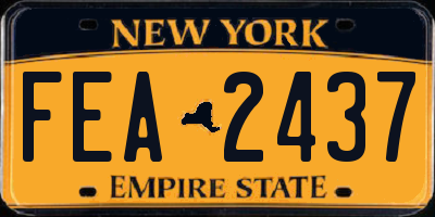 NY license plate FEA2437