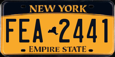 NY license plate FEA2441