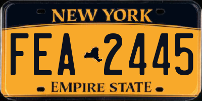 NY license plate FEA2445