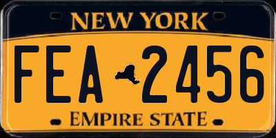 NY license plate FEA2456