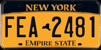 NY license plate FEA2481