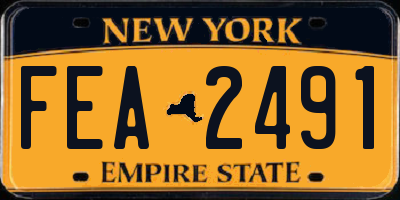 NY license plate FEA2491
