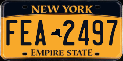 NY license plate FEA2497