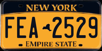 NY license plate FEA2529