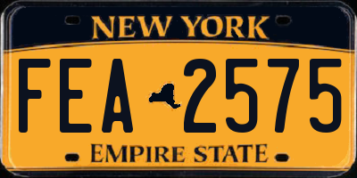 NY license plate FEA2575