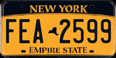 NY license plate FEA2599