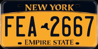 NY license plate FEA2667
