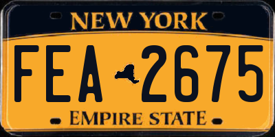 NY license plate FEA2675