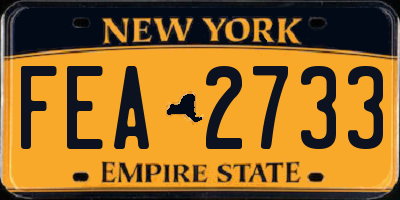 NY license plate FEA2733