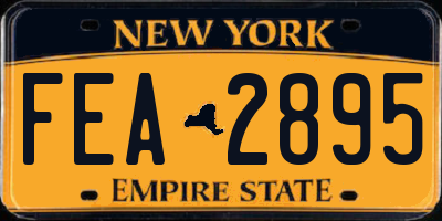 NY license plate FEA2895