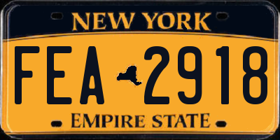 NY license plate FEA2918