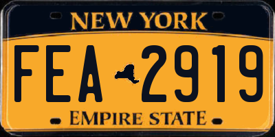 NY license plate FEA2919