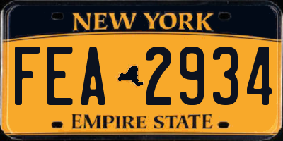 NY license plate FEA2934