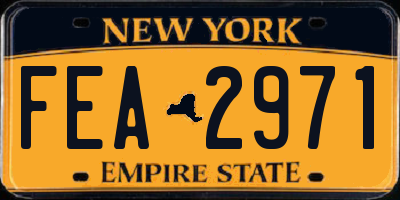 NY license plate FEA2971