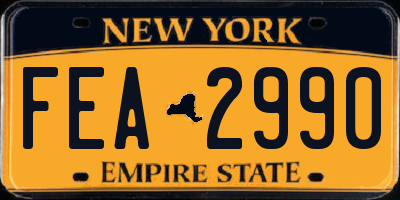 NY license plate FEA2990