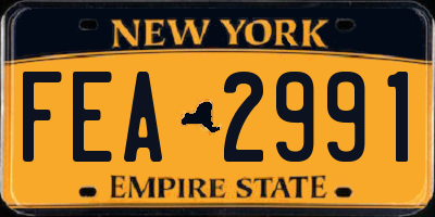NY license plate FEA2991