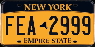 NY license plate FEA2999