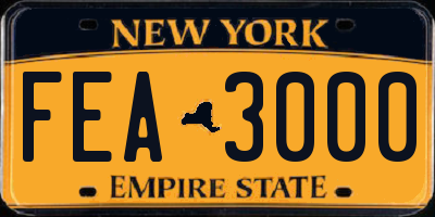 NY license plate FEA3000