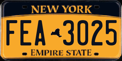 NY license plate FEA3025