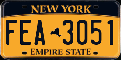 NY license plate FEA3051