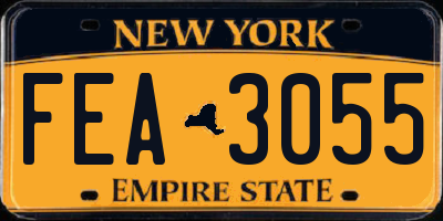NY license plate FEA3055