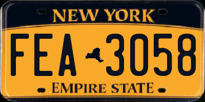 NY license plate FEA3058