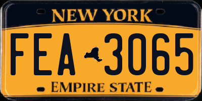NY license plate FEA3065