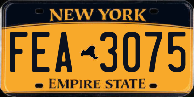 NY license plate FEA3075