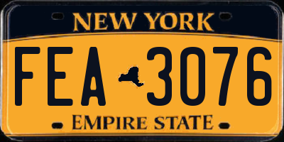 NY license plate FEA3076