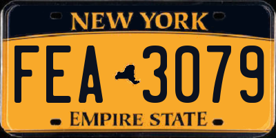 NY license plate FEA3079