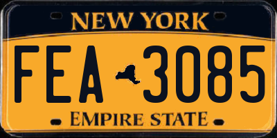 NY license plate FEA3085
